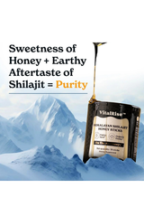 VitalRiseâ„?- HoneySticks Shilajit