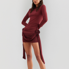 Burgendy Detail Ruched Mini Dress