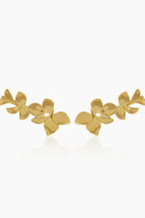 Orchid Gold