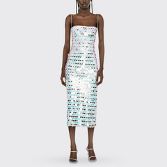 Silver Sequin-embellished Midi Dress