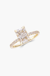 Dani Ring