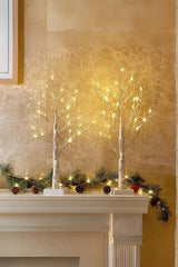 Fairywood Birch