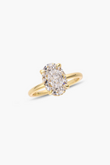 Lucy Ring