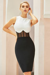 Elegant High waist Black & White midi dress
