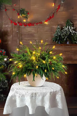 Mystic Pine Bough