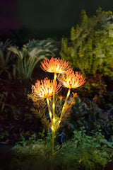 Fairy Blossom Dream