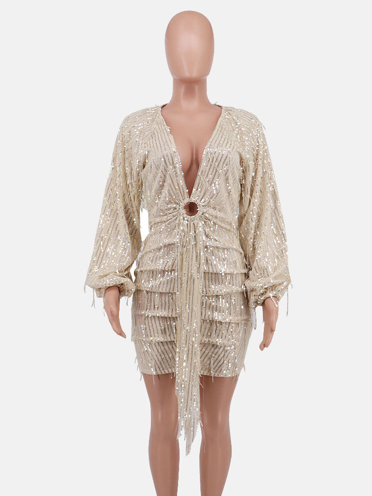 Sequin  Fringe Trim Party Dress