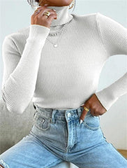 Turtleneck Ribbed Knit Sweater