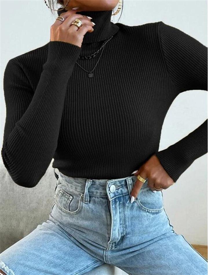 Turtleneck Ribbed Knit Sweater